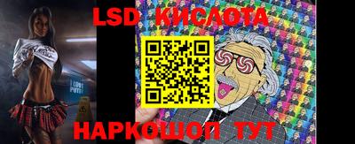индика Камень-на-Оби