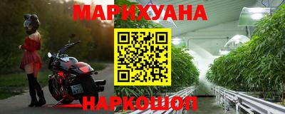 индика Камень-на-Оби