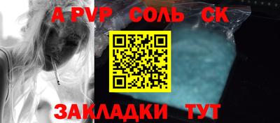 индика Камень-на-Оби