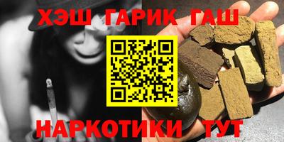 индика Камень-на-Оби
